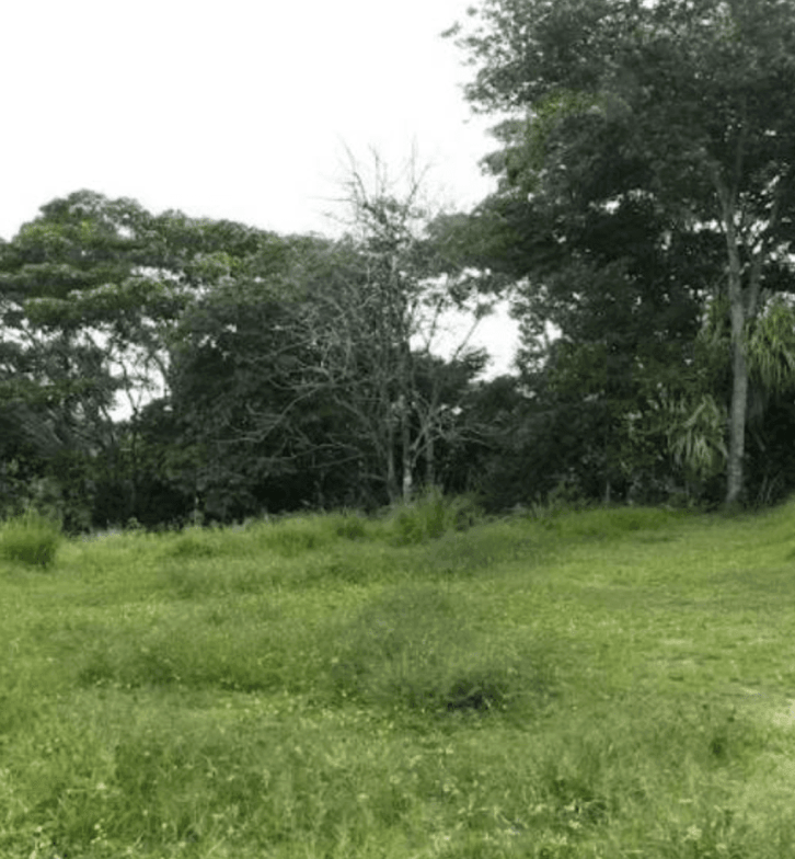 under 250k