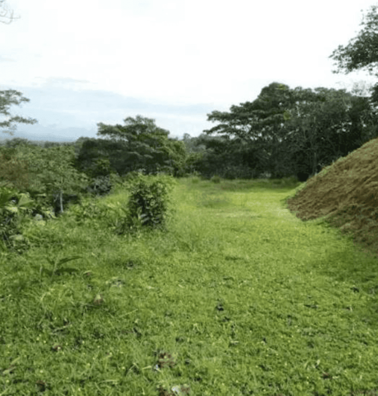 Screenshot 2024-06-21 at 10.41.16-min