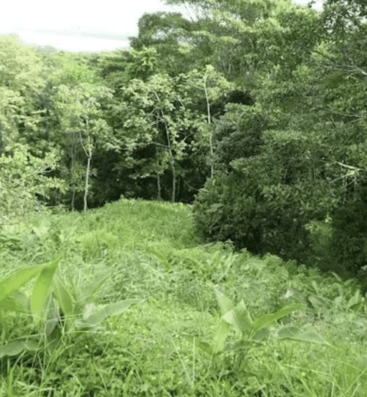 Screenshot 2024-06-21 at 10.41.23-min