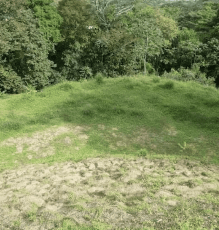 Screenshot 2024-06-21 at 10.41.44-min