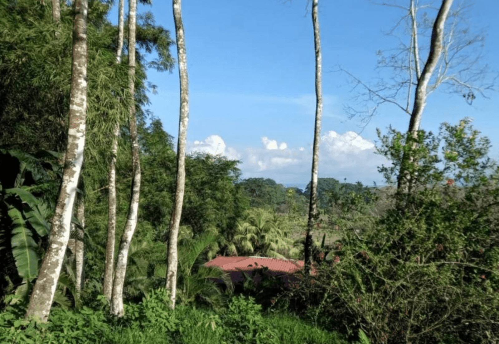 Development Opportunity