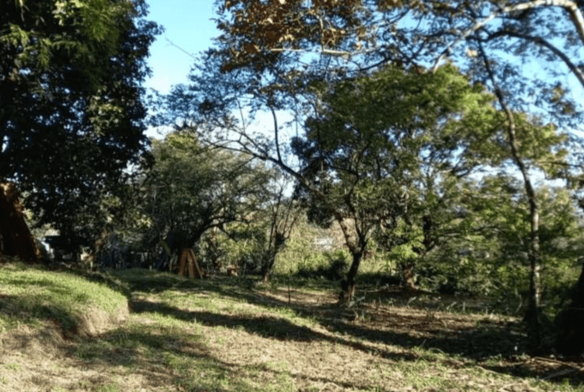 Development Opportunity