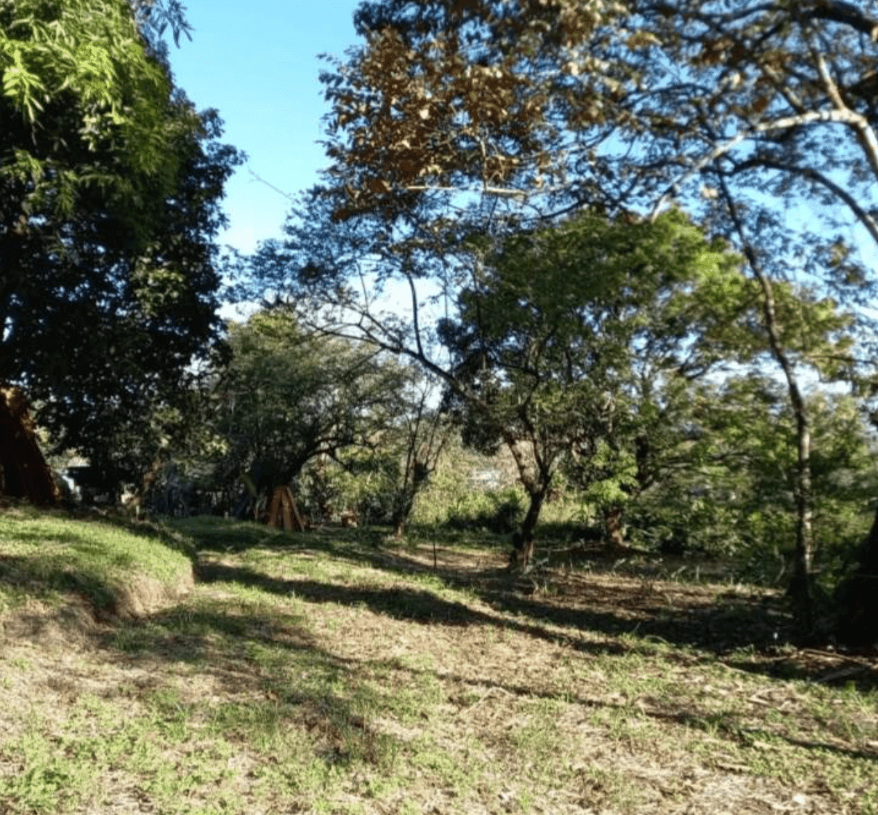 Development Opportunity