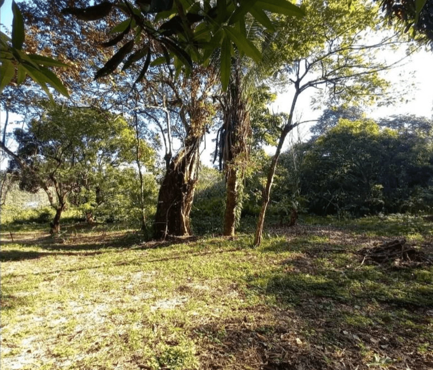 Development Opportunity