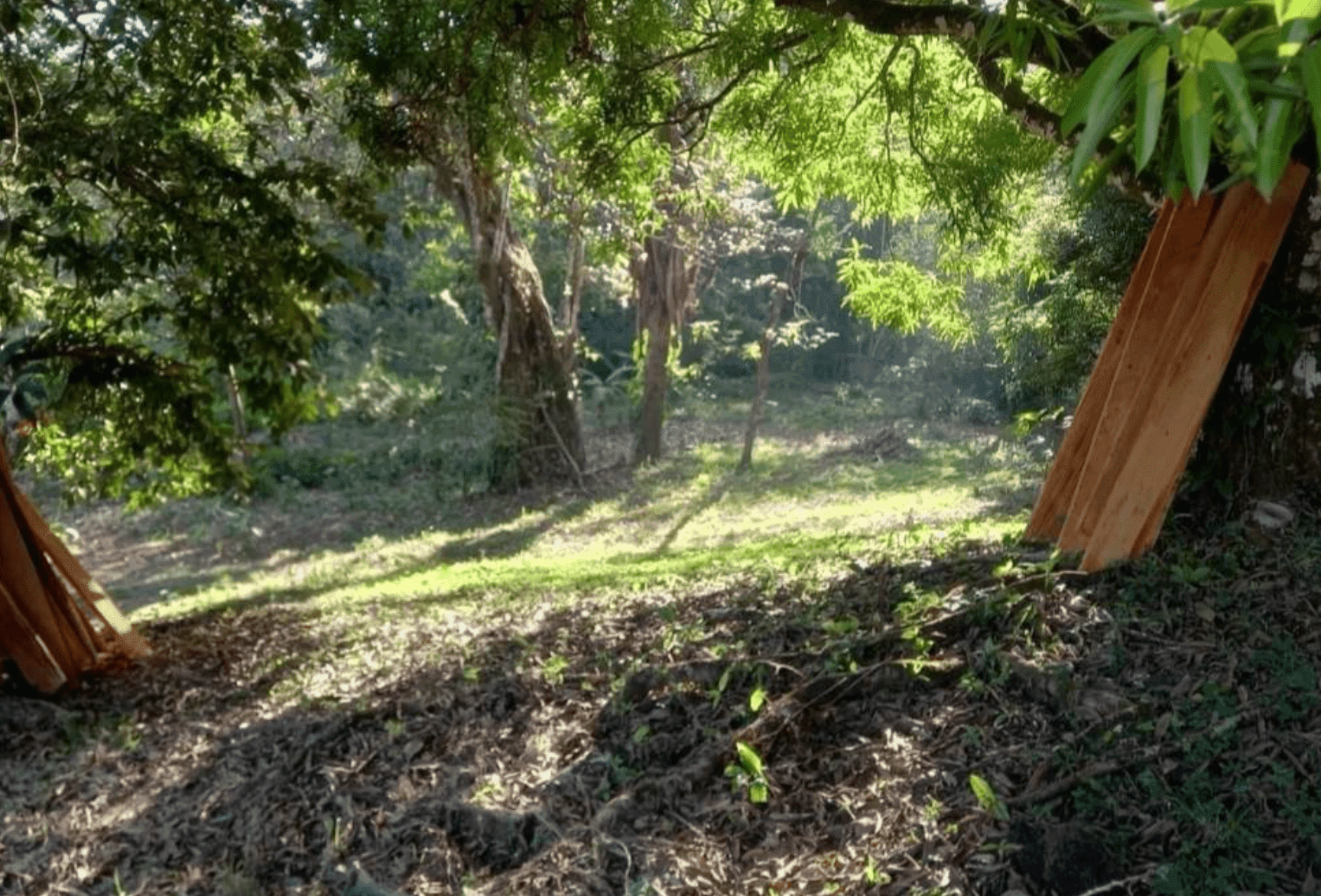 Development Opportunity