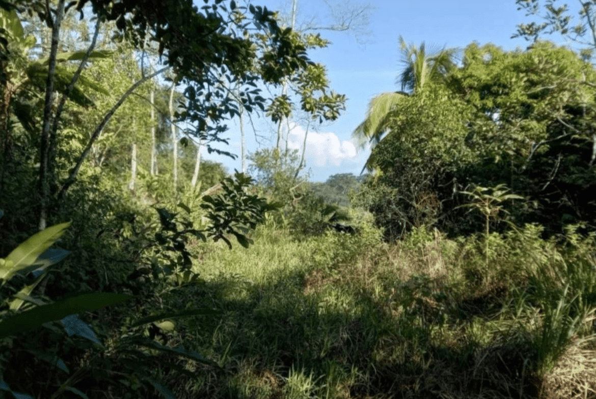 Development Opportunity