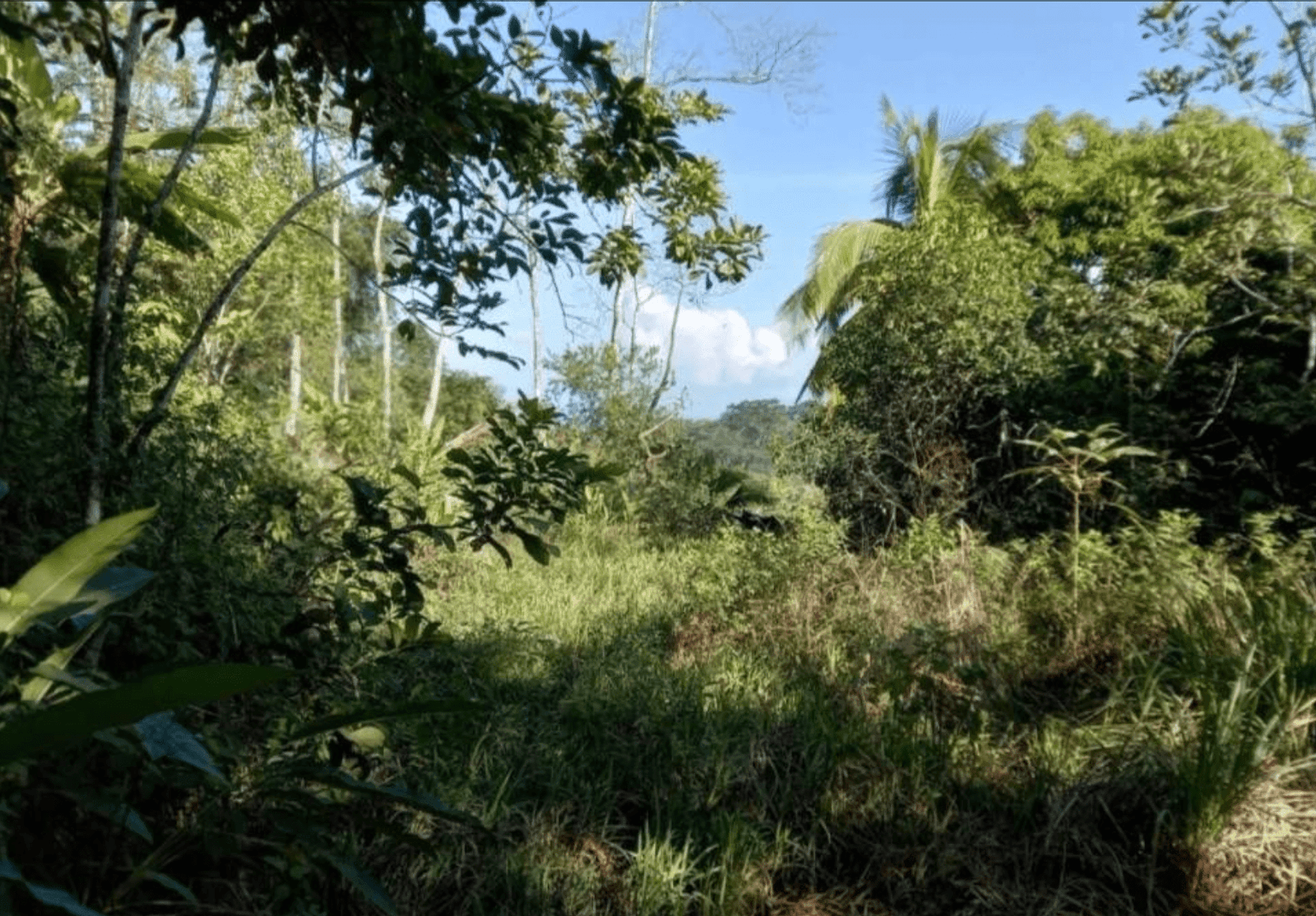 Development Opportunity