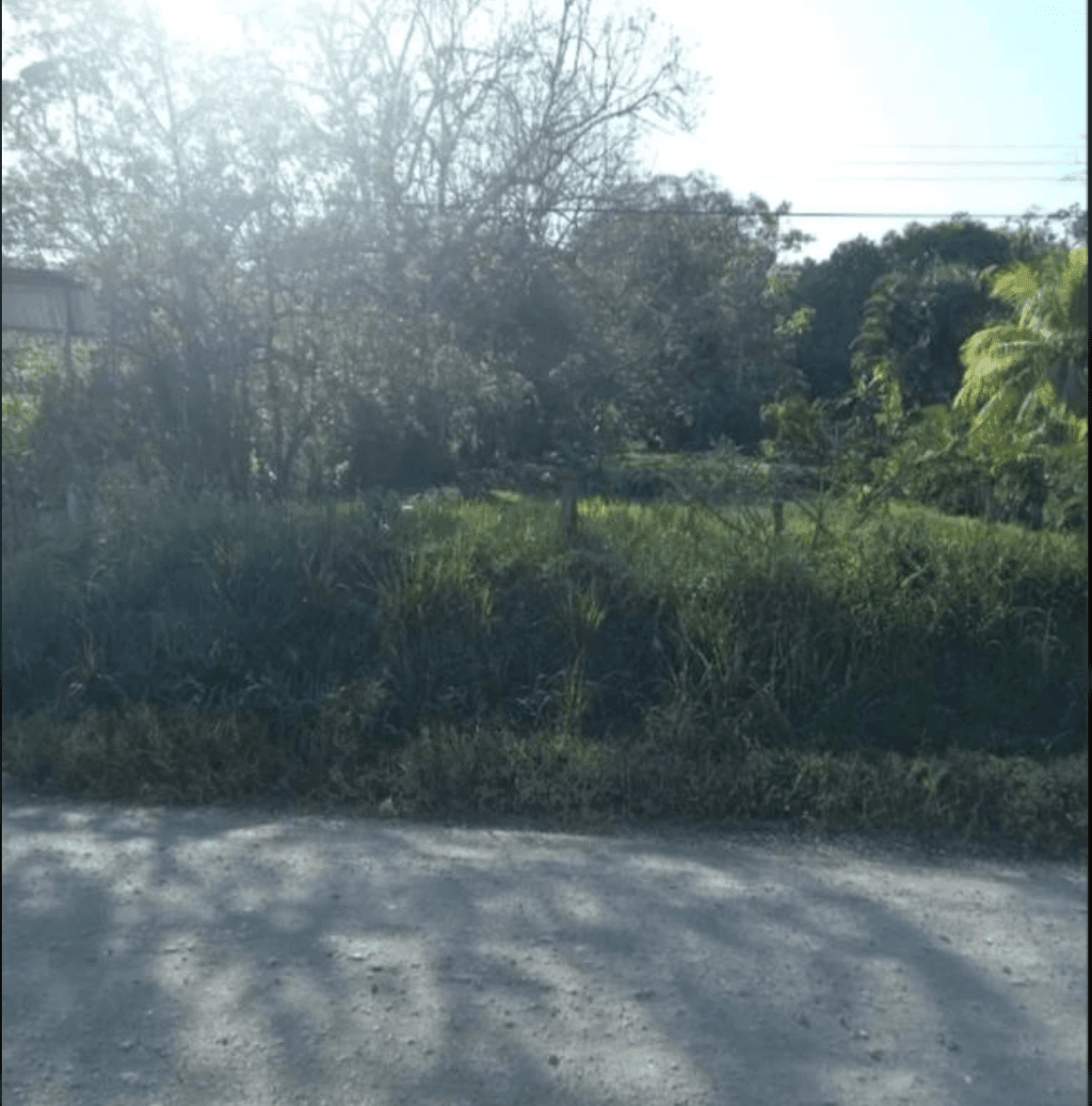 Development Opportunity