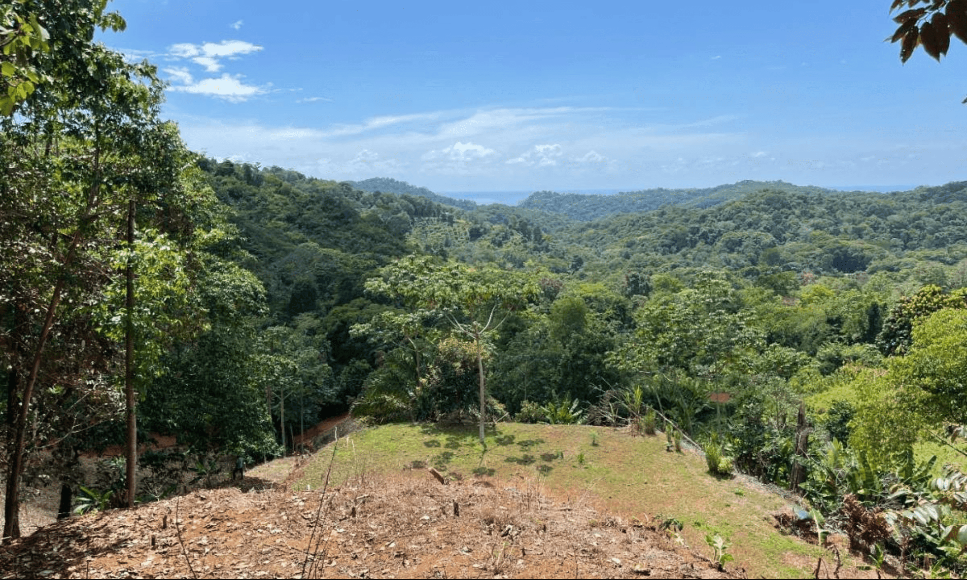 Development Opportunity