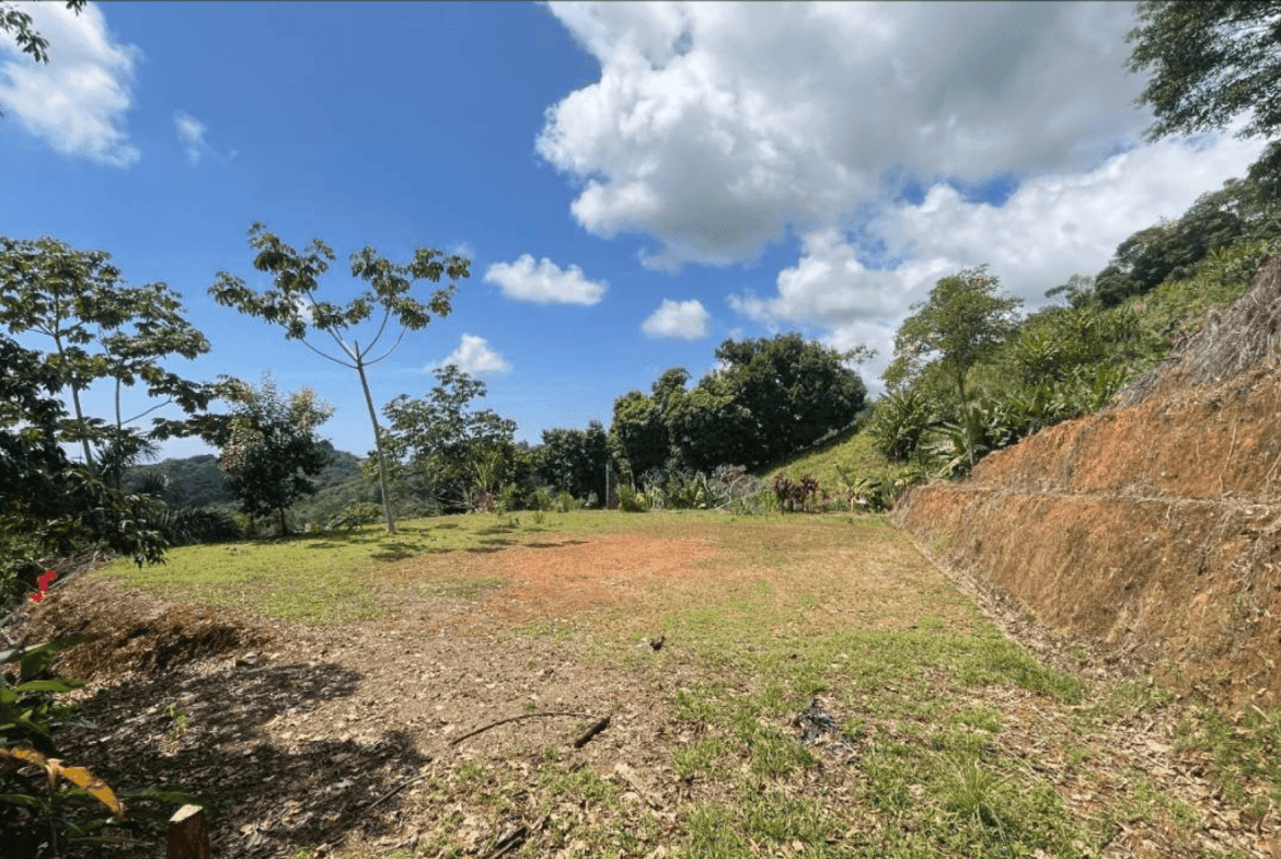 Development Opportunity