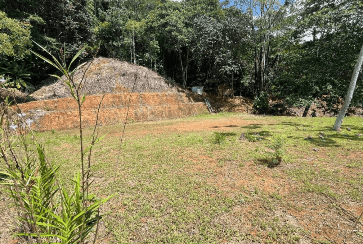 Development Opportunity