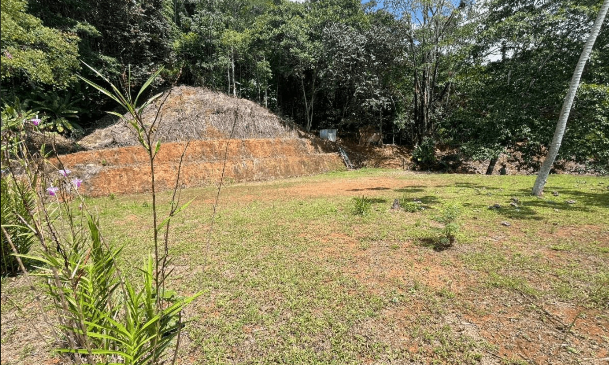 Development Opportunity