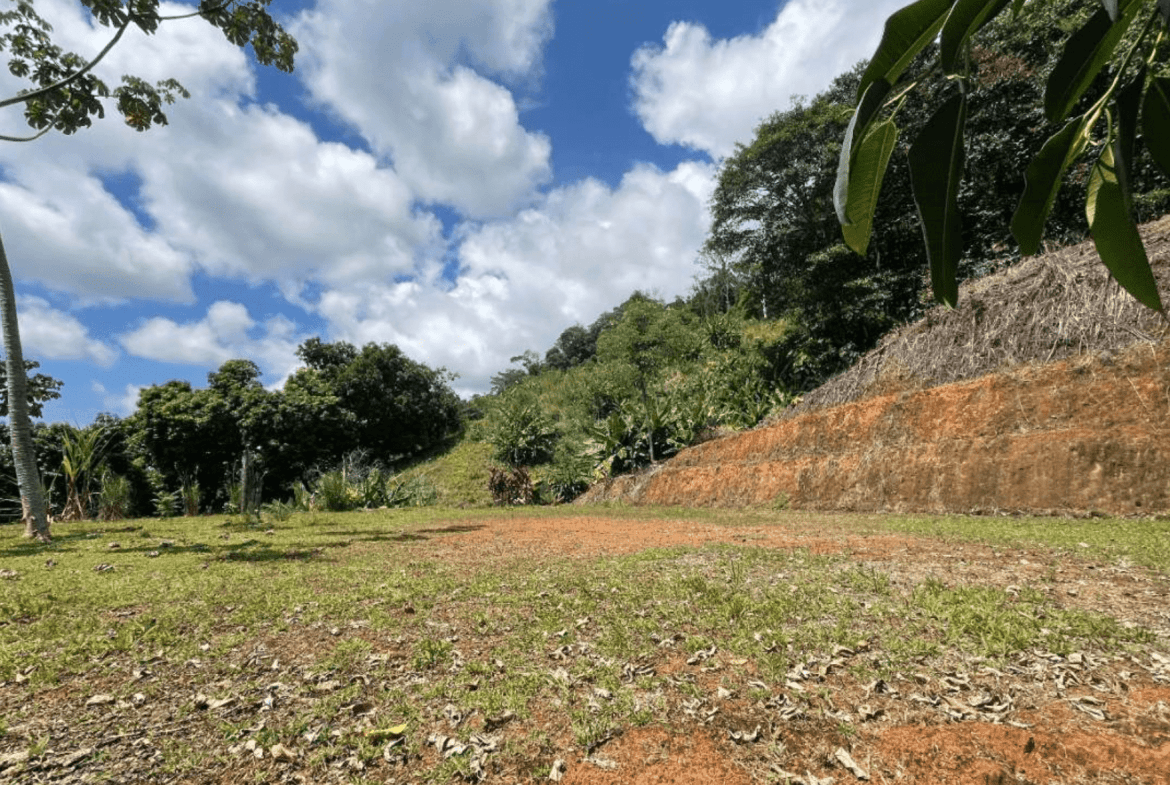 Development Opportunity