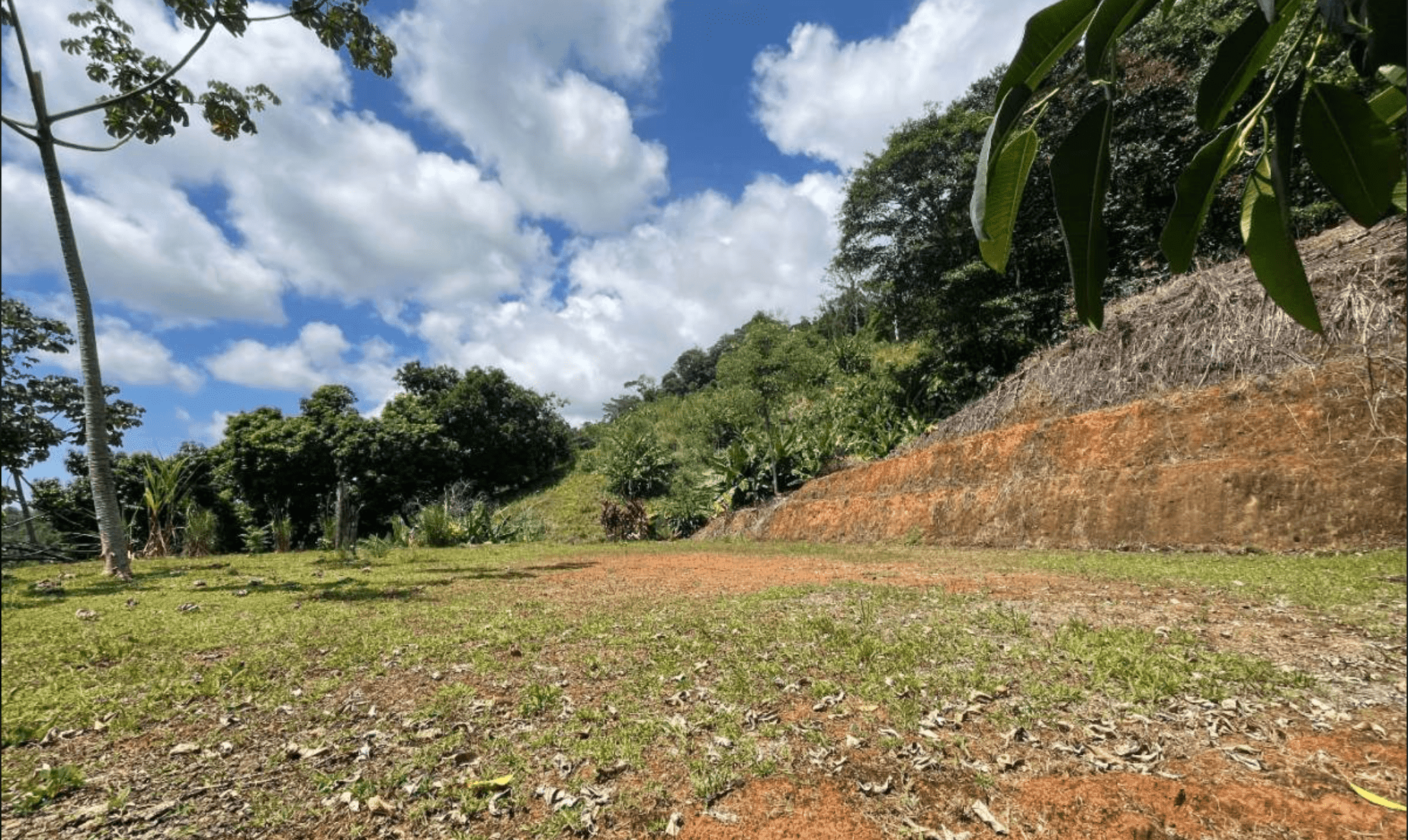 Development Opportunity