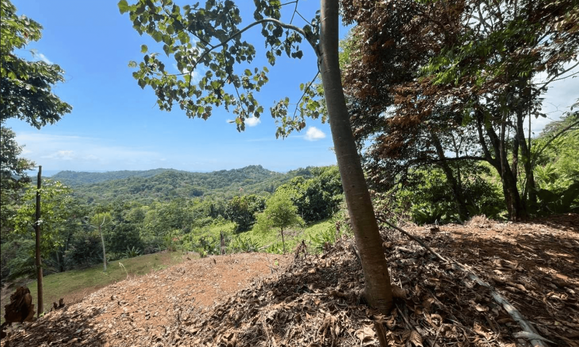 Development Opportunity