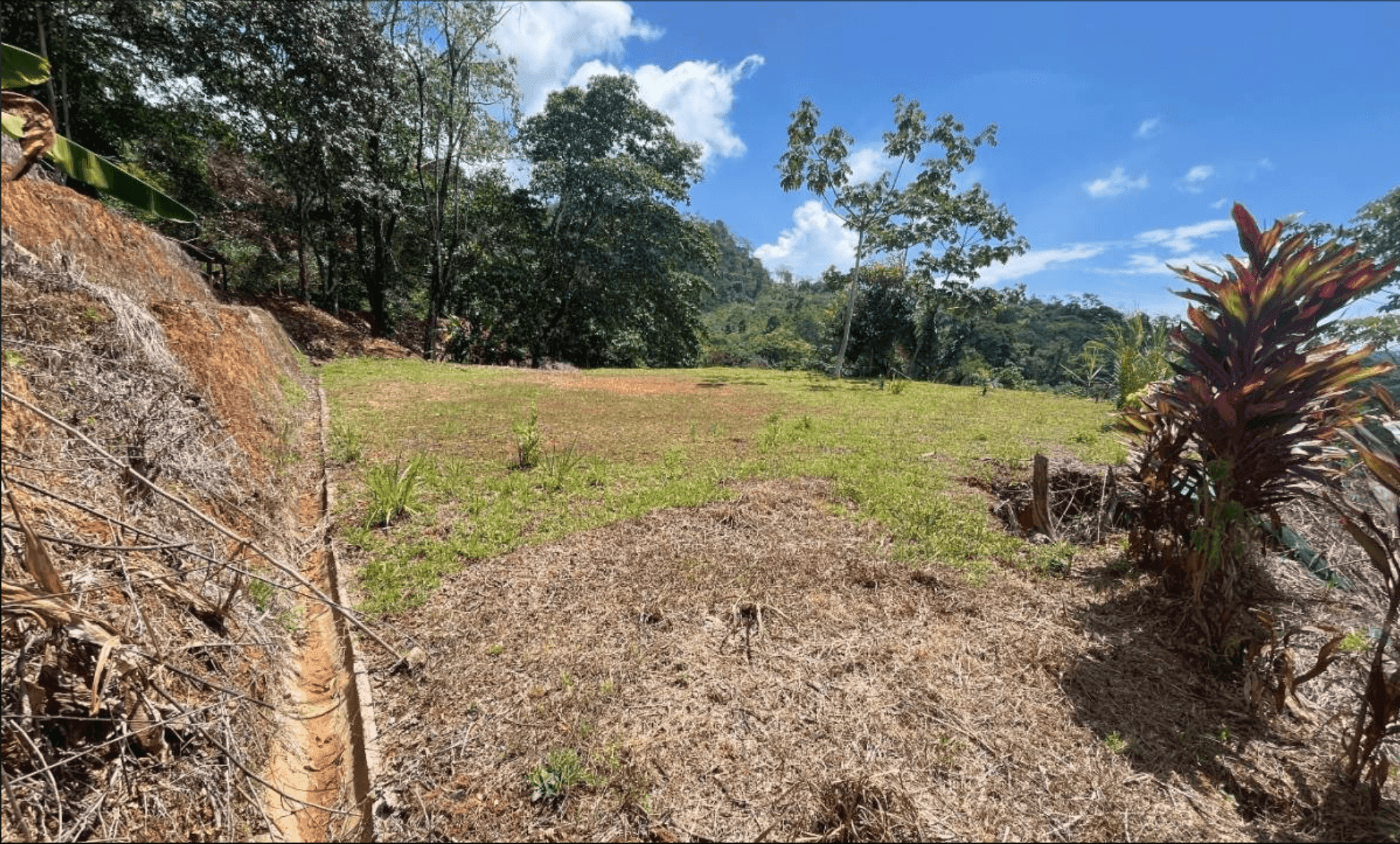 Development Opportunity