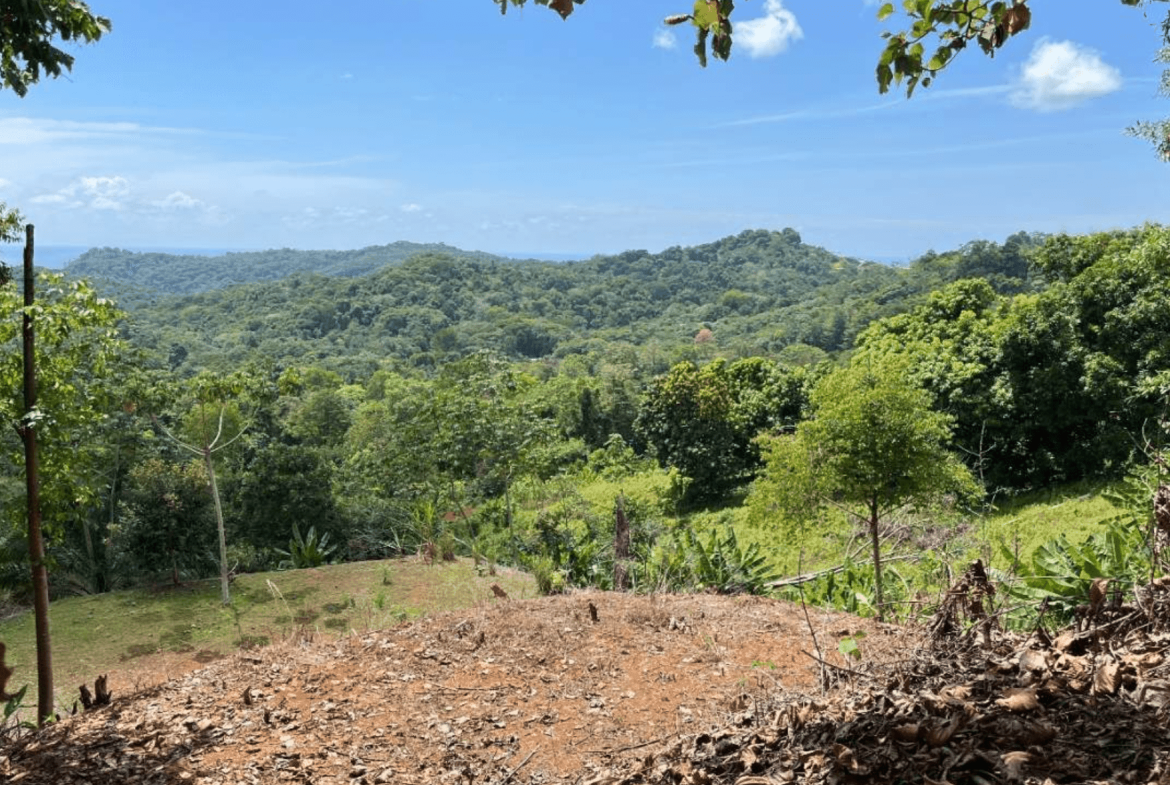 Development Opportunity
