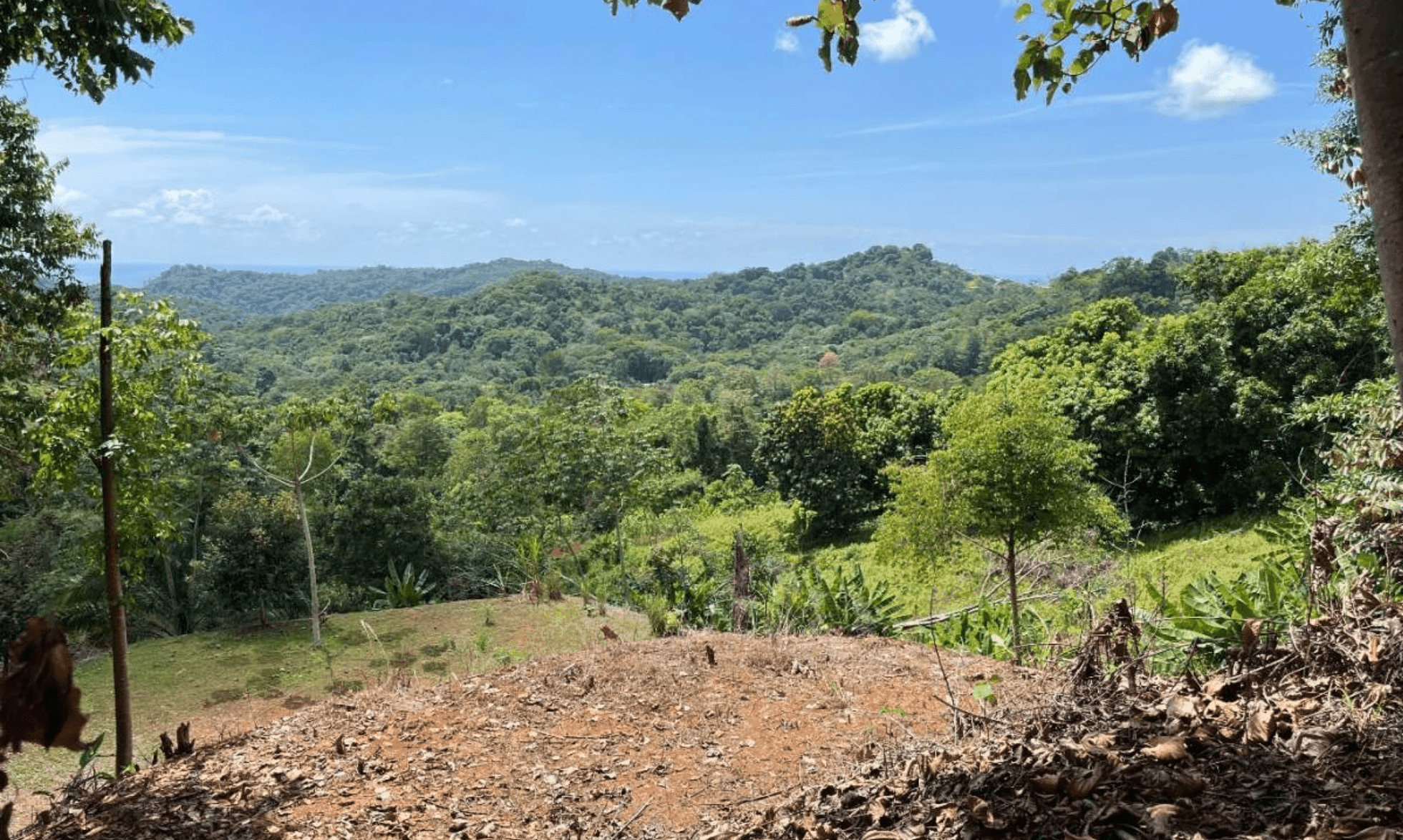 Development Opportunity