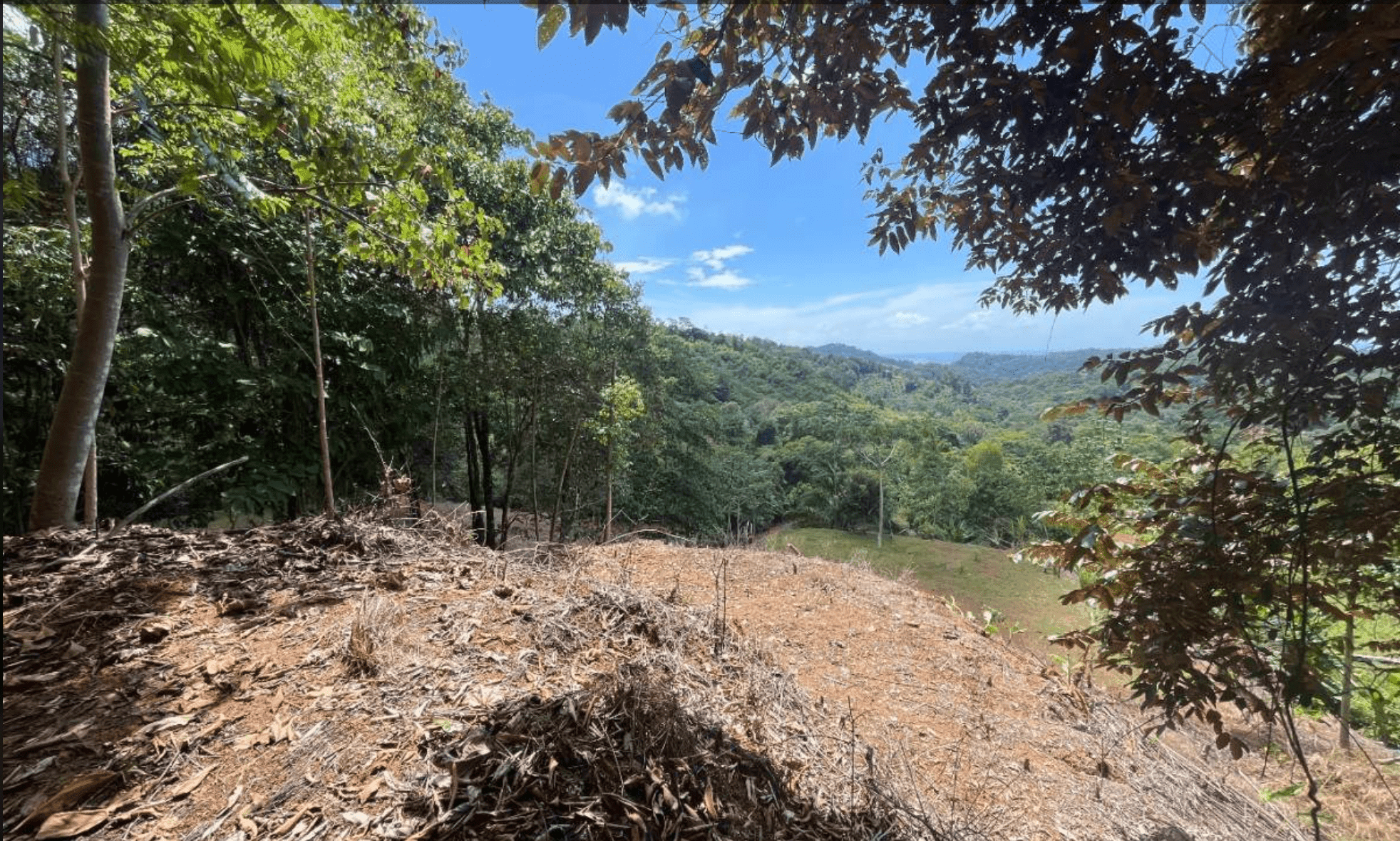 Development Opportunity