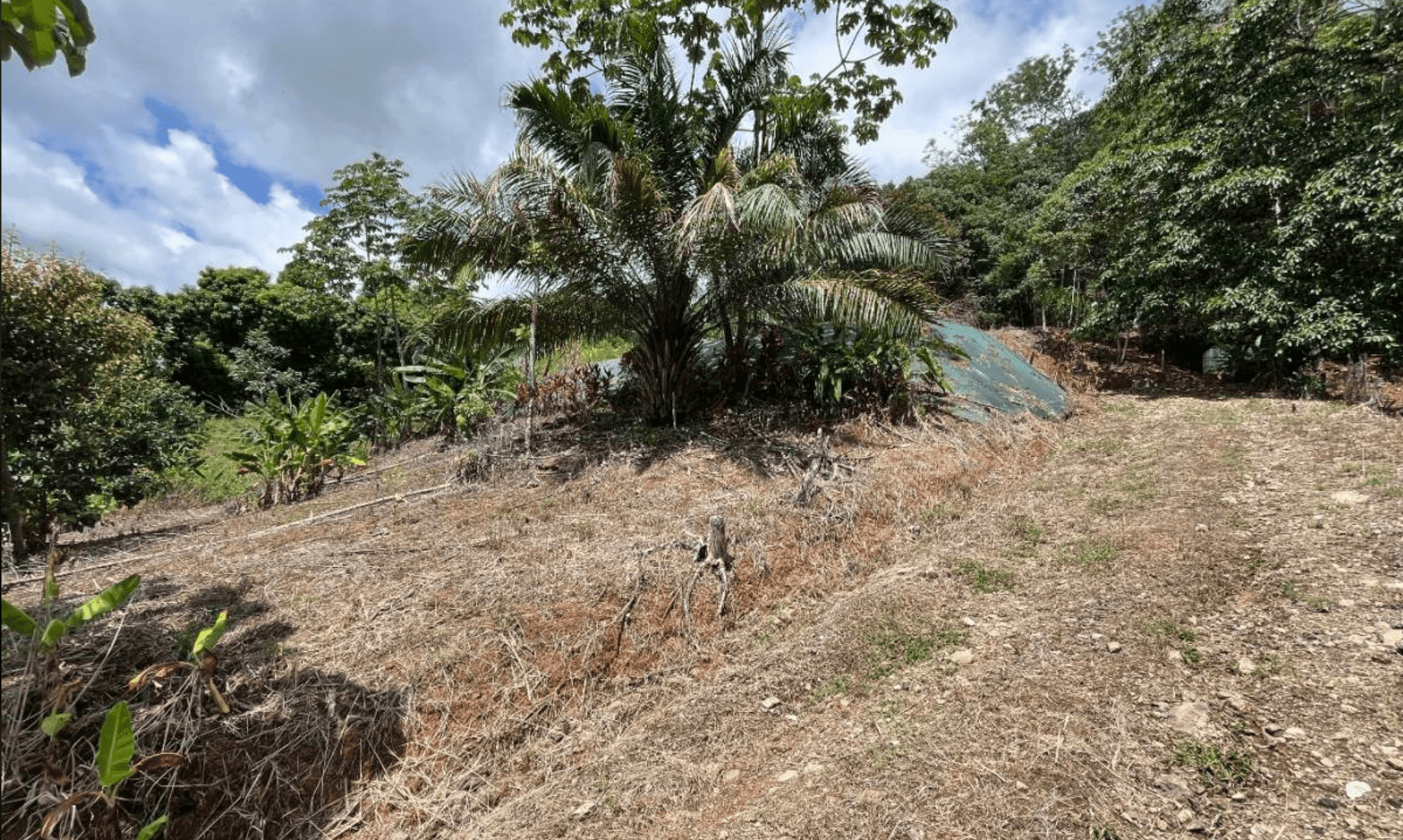 Development Opportunity