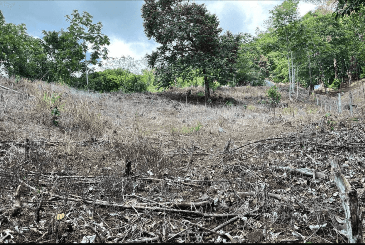 Development Opportunity