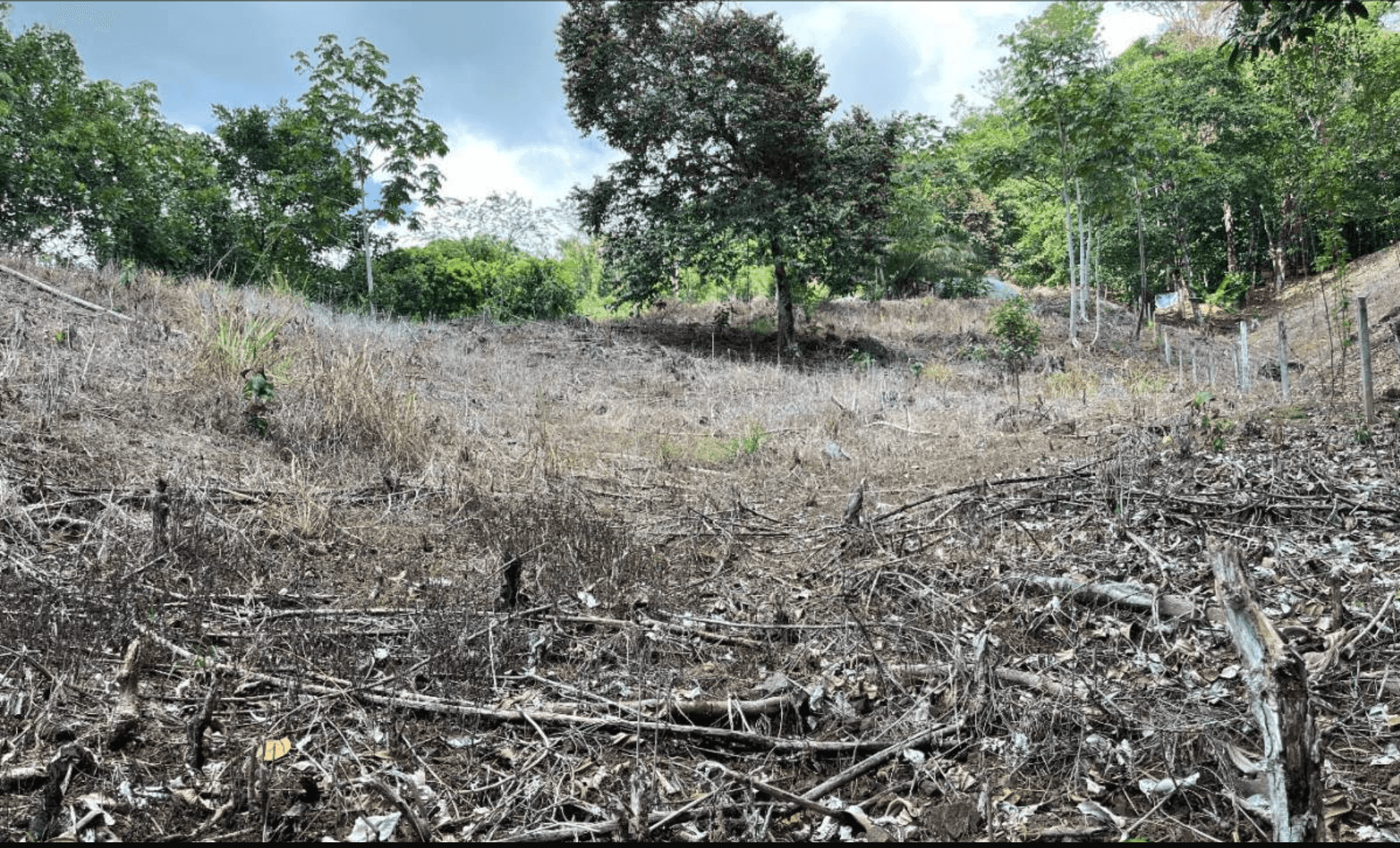 Development Opportunity