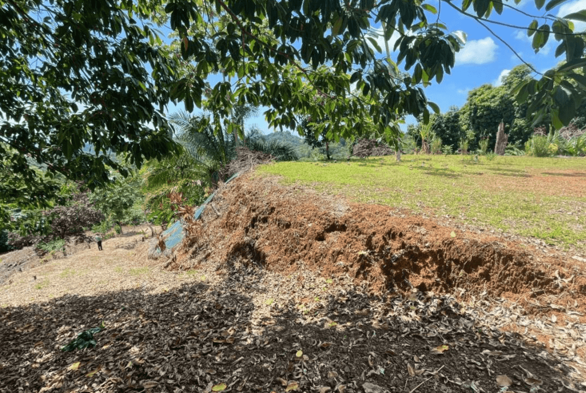 Development Opportunity