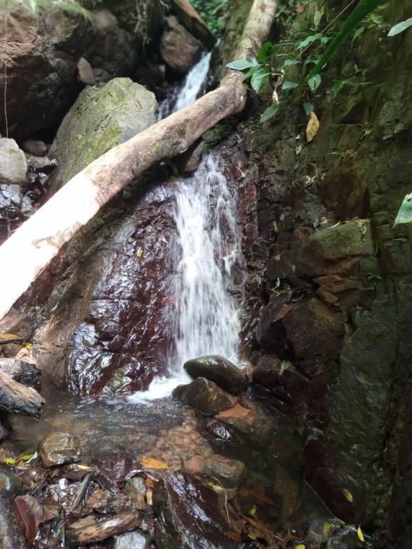 a182a778-b5e6-4f95-a4e1-30ee2c57715b-min