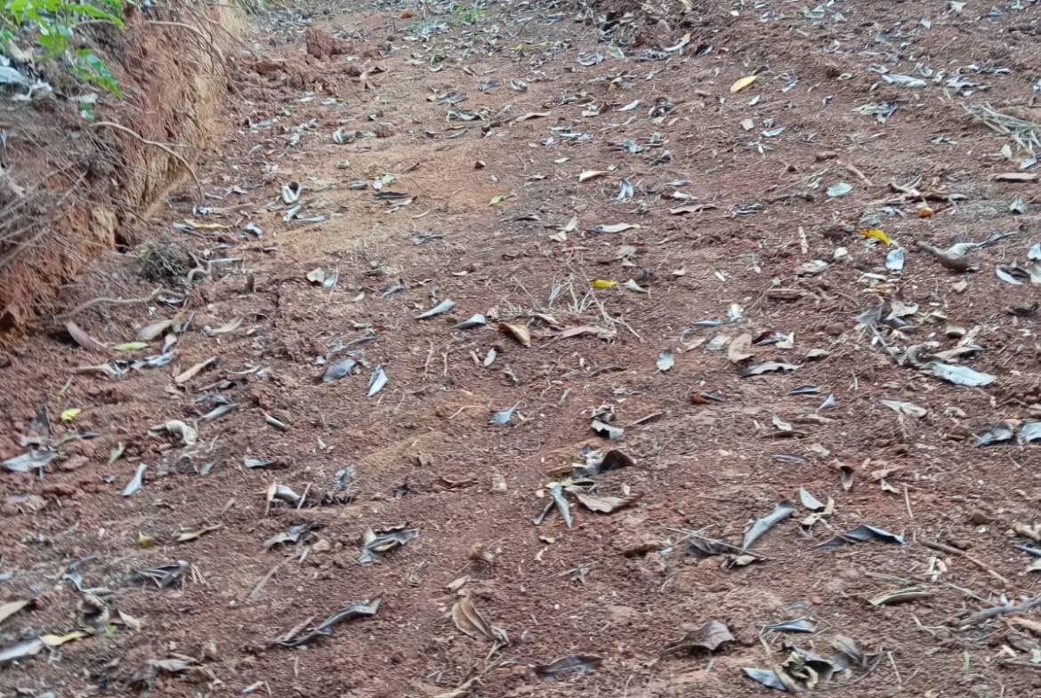 a47c221d-dbd7-4d05-81b8-61fb0183394b-min