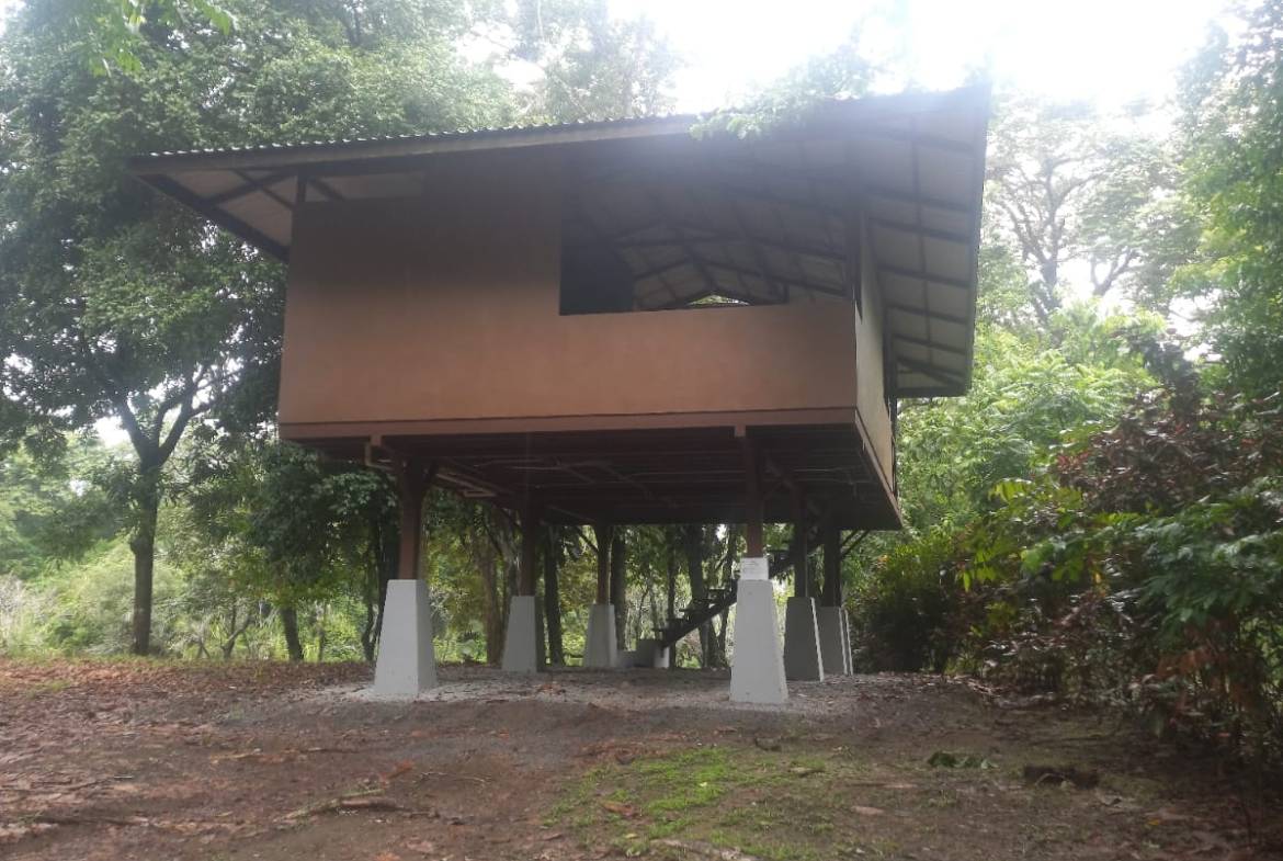 a83913f9-1f40-431c-8a55-805a91988799-min