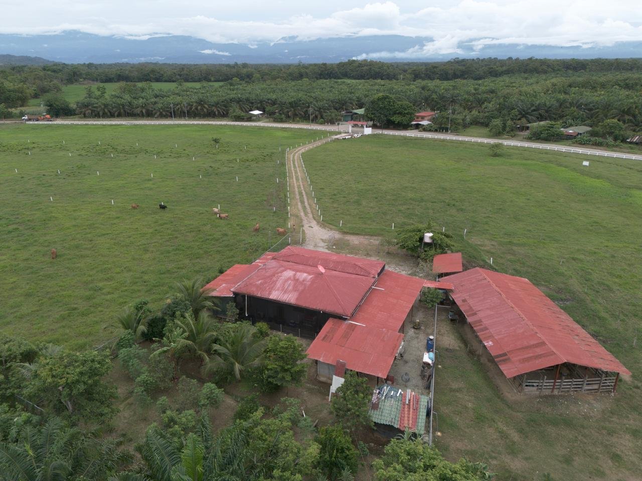 Farm in Costa Rica