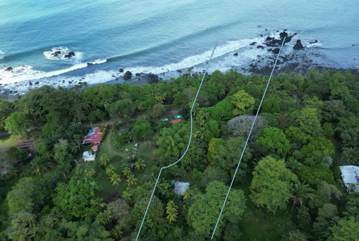 afb648cd-6d9e-412f-8933-305d3dae0137