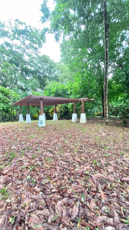 b1c72265-6a6b-4420-b840-62cd2cadcaa8-min