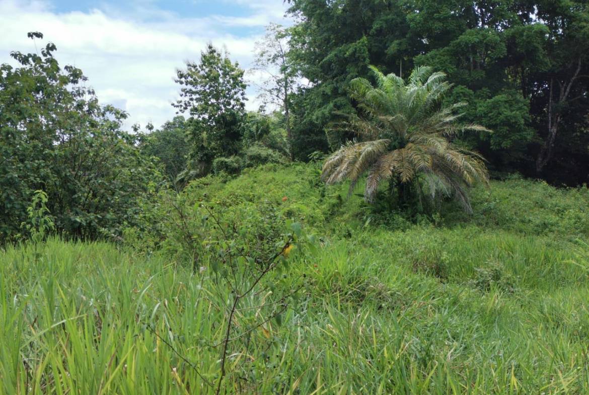 d05184eb-4ff0-4332-9c7e-651a8304f949-min