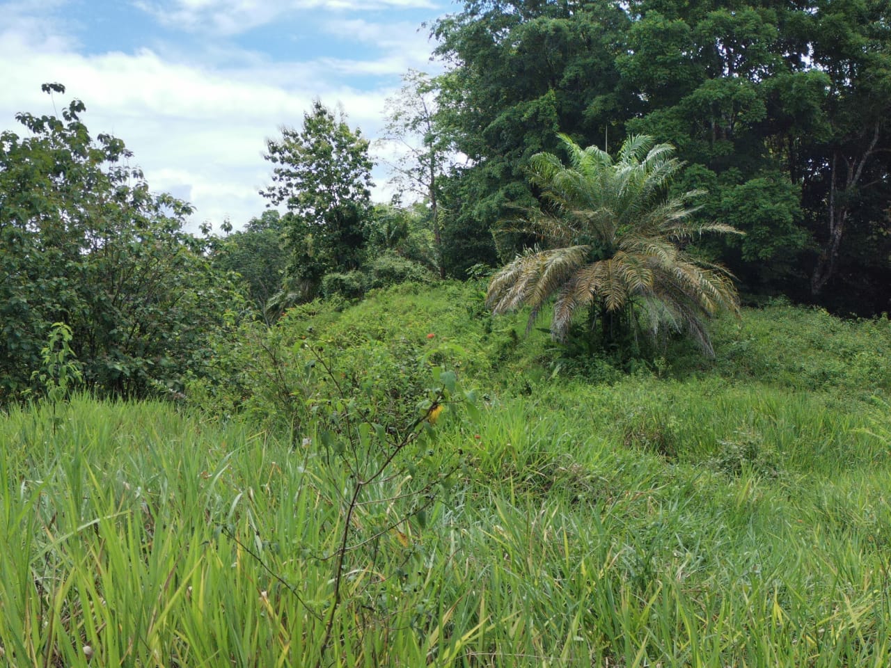 d05184eb-4ff0-4332-9c7e-651a8304f949-min