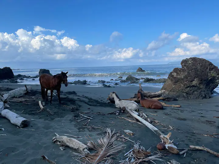 For rent in Pavones, Costa Rica