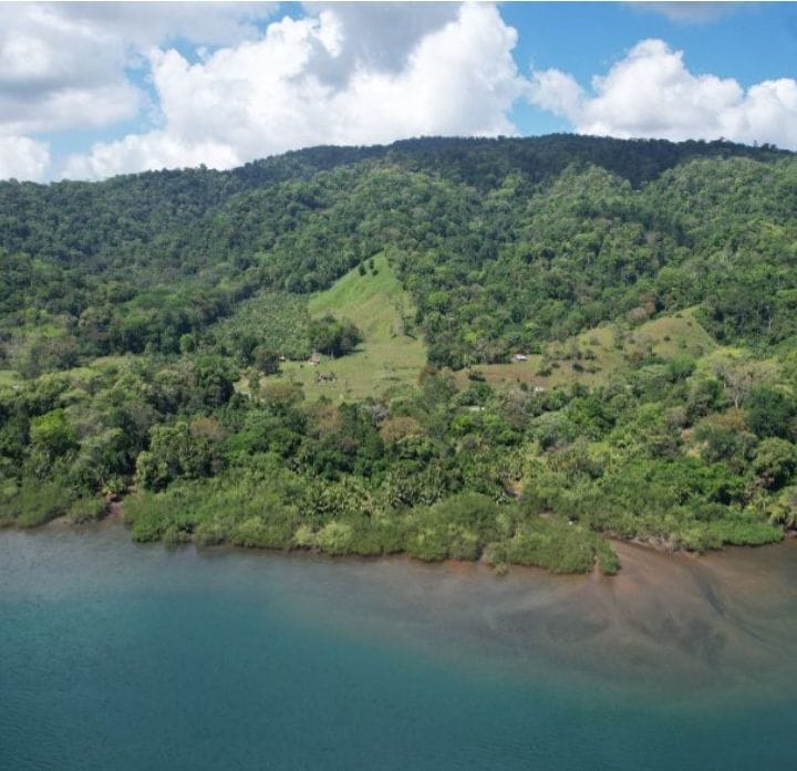 da483ba4-54ed-4c24-9cb3-d2a7df196afe-min