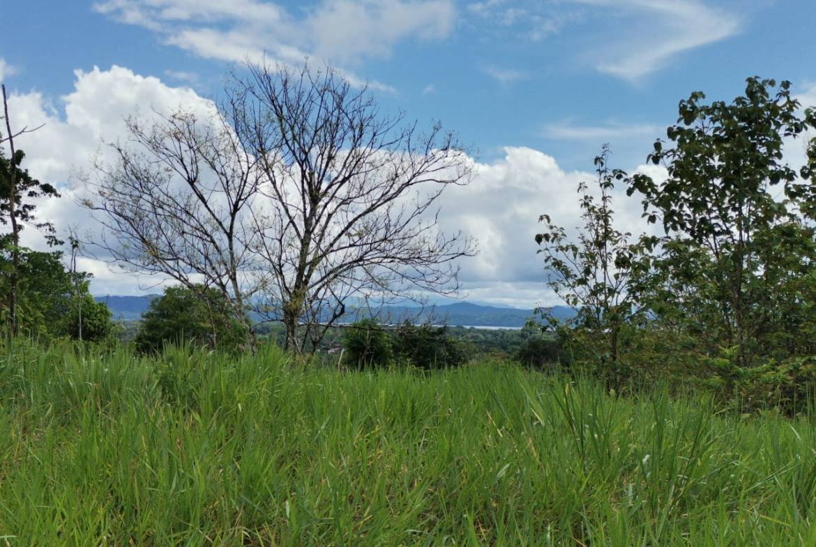 dee4fce8-8fd9-4901-a5ab-de760a9de551-min