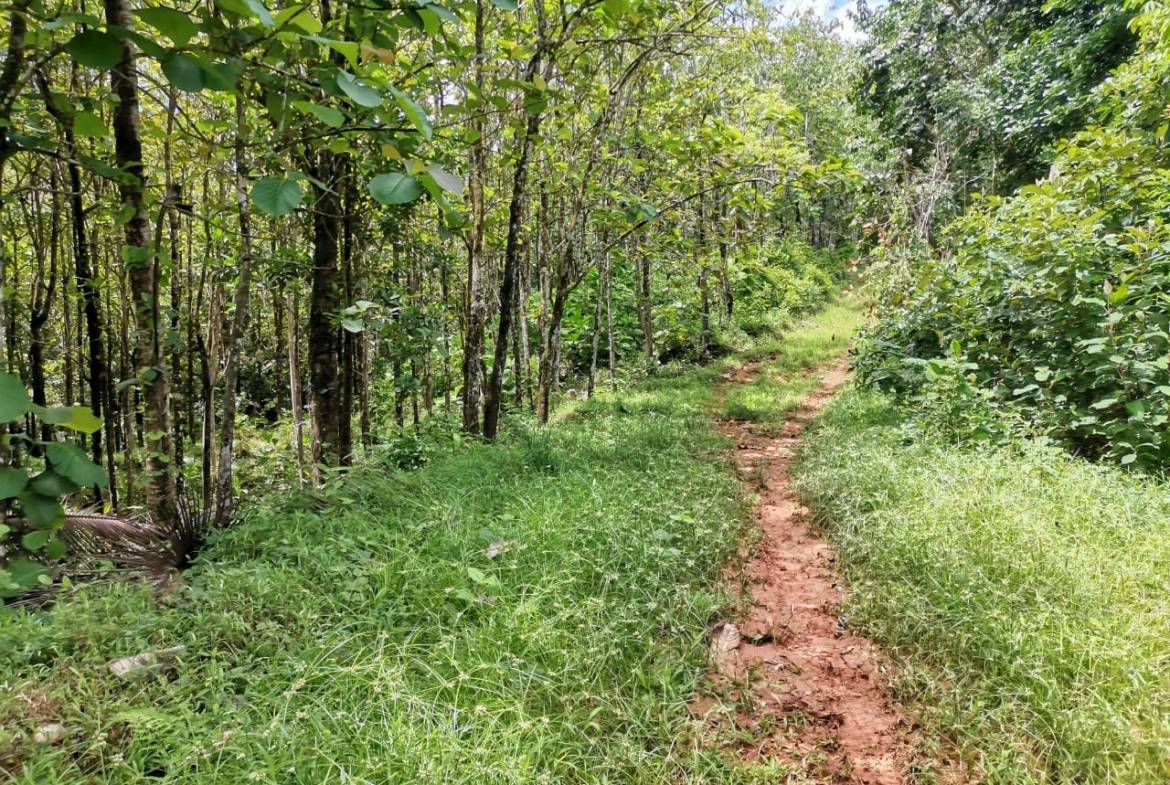 e020c235-a421-40bc-906c-7fe042feb636-min