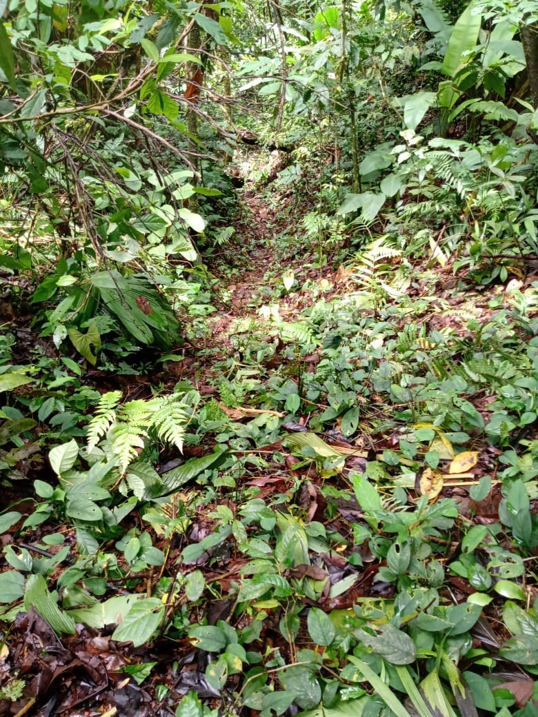 e40a257b-da0b-4c61-af28-17660d04feed-min