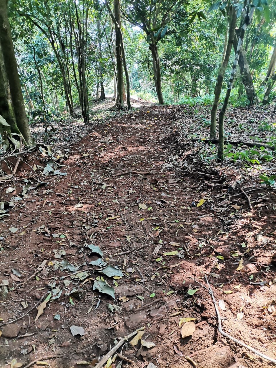 e9b6dc2b-15e3-4a8a-be81-4c751bff95c0-min