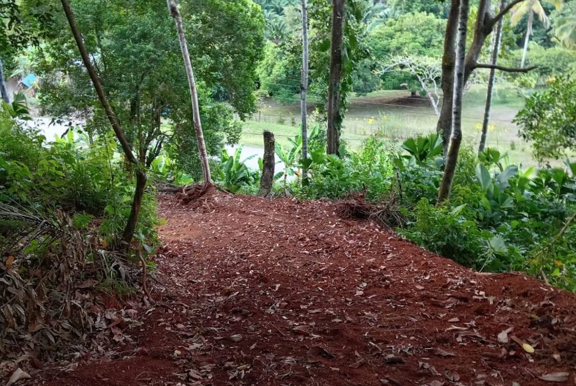 ece3c12e-cb2d-4c36-9d77-b9c72a8d1102-min