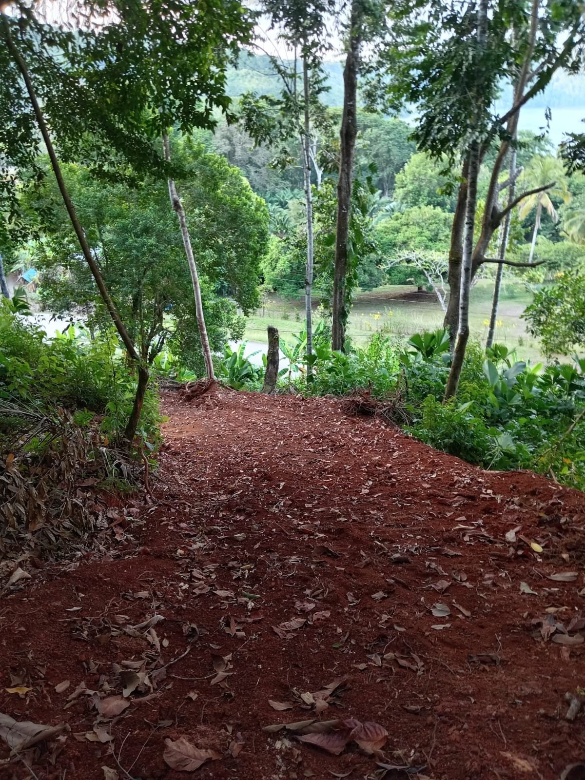 ece3c12e-cb2d-4c36-9d77-b9c72a8d1102-min