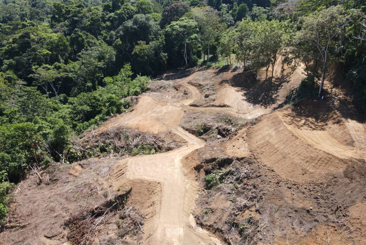 f24ec1e9-b914-4429-801a-686583a0d73b-min