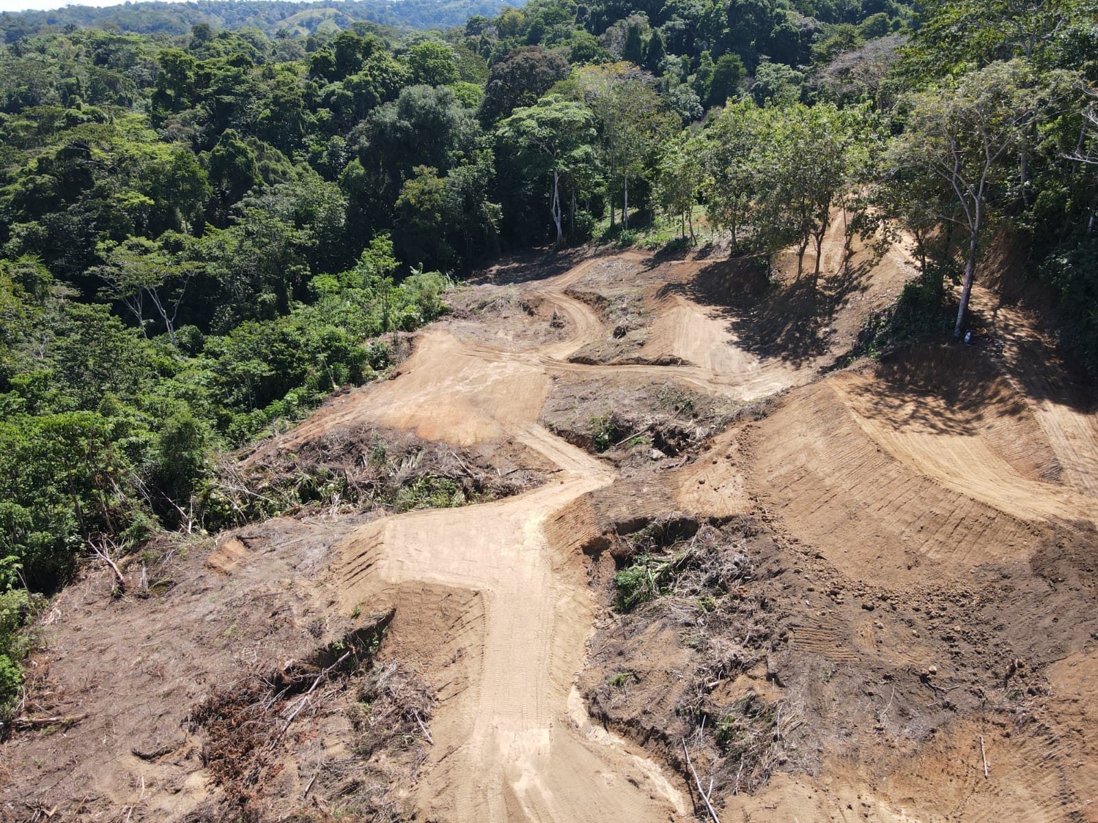 f24ec1e9-b914-4429-801a-686583a0d73b-min