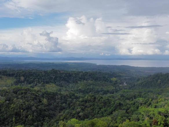 f3d8355f-ee01-40a4-ac36-9a2254d0febd-min