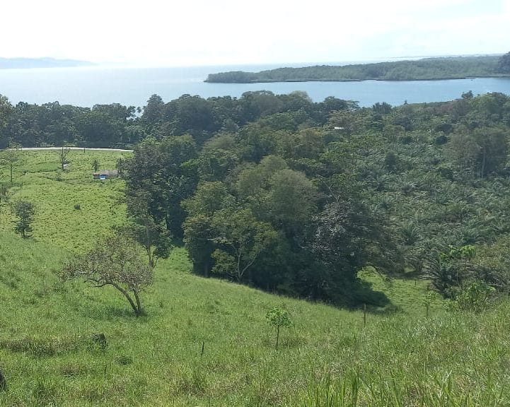 f61b83b8-3462-434e-8590-3cb800b78654-min