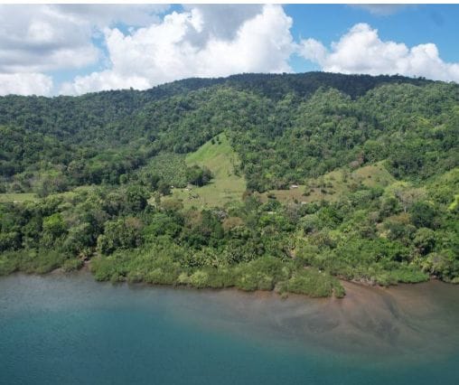 fead19c8-0c84-415d-b4d7-76bccca808c7-min