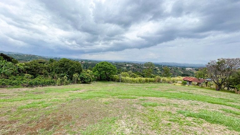 ll2400281_img-2_large-min