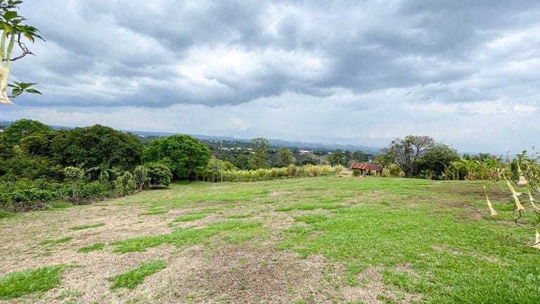 ll2400281_img-3_large-min